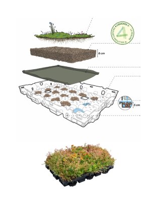 Solution végétale pour toit plat en 4 couches en Wallonie